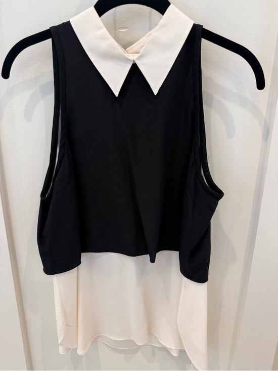 Elizabeth and James Tops - Elizabeth & James sleeveless silk colorblock shirt featuring a mock layer design